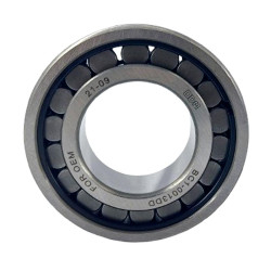 بلبرینگ خروجی شفت گیربکس 206 ODM-(BC1-0013-DD)
