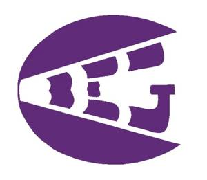 بهرام الکترونیک